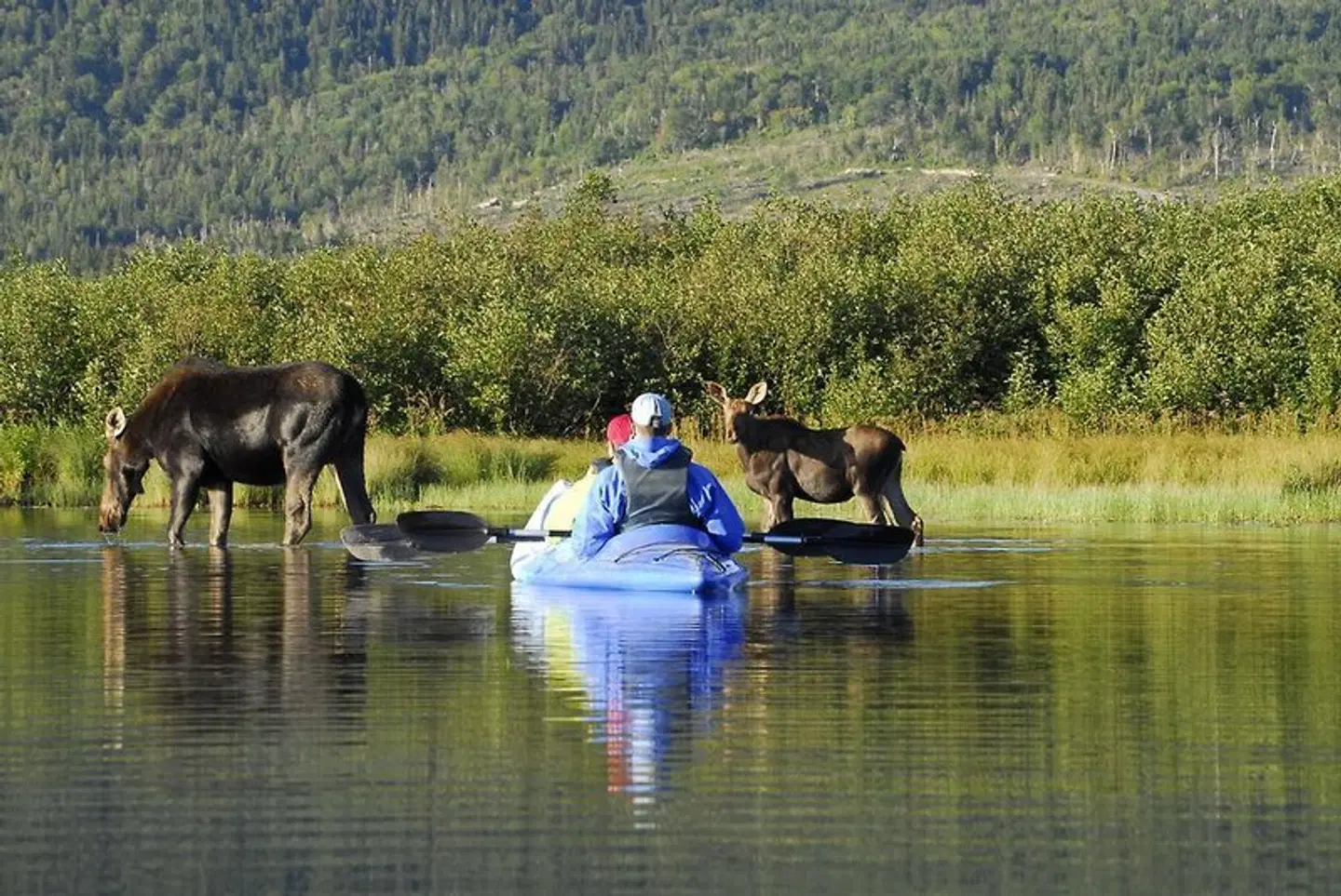 Quality Inn & Suites Matane SPORTS_AND_LEISURE