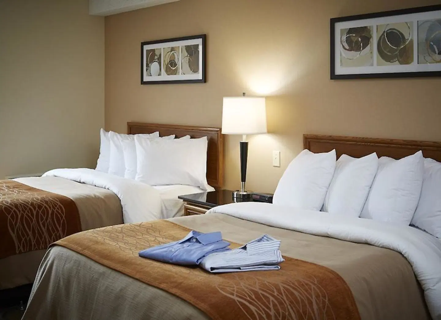 Comfort Inn South Shore ROOM_EXAMPLE