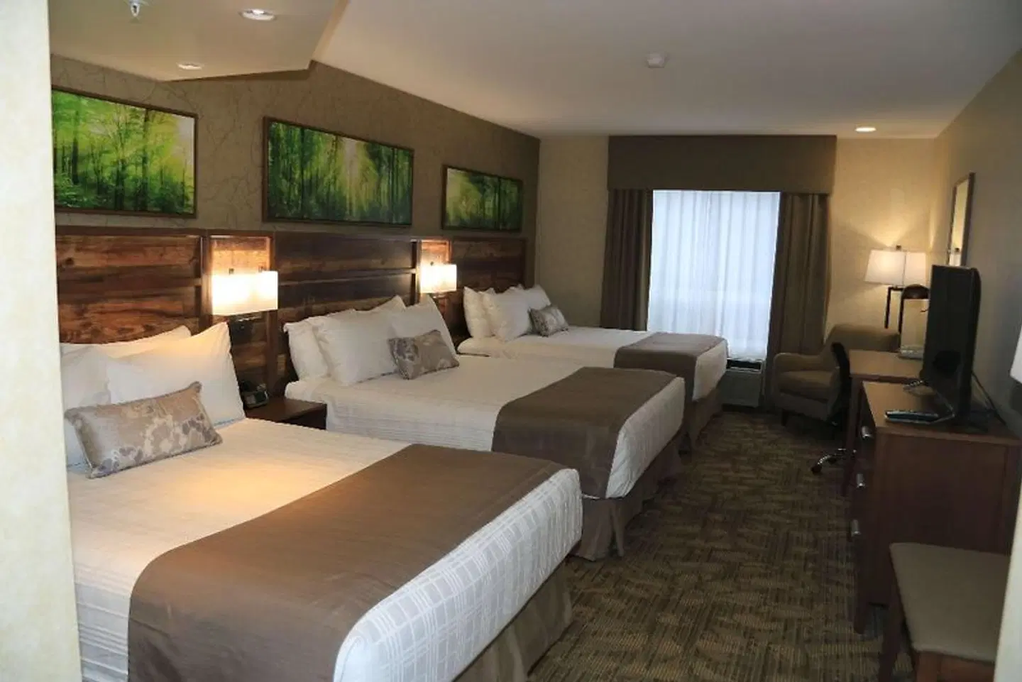 BEST WESTERN PLUS Valemount Inn & Suites ROOM_EXAMPLE