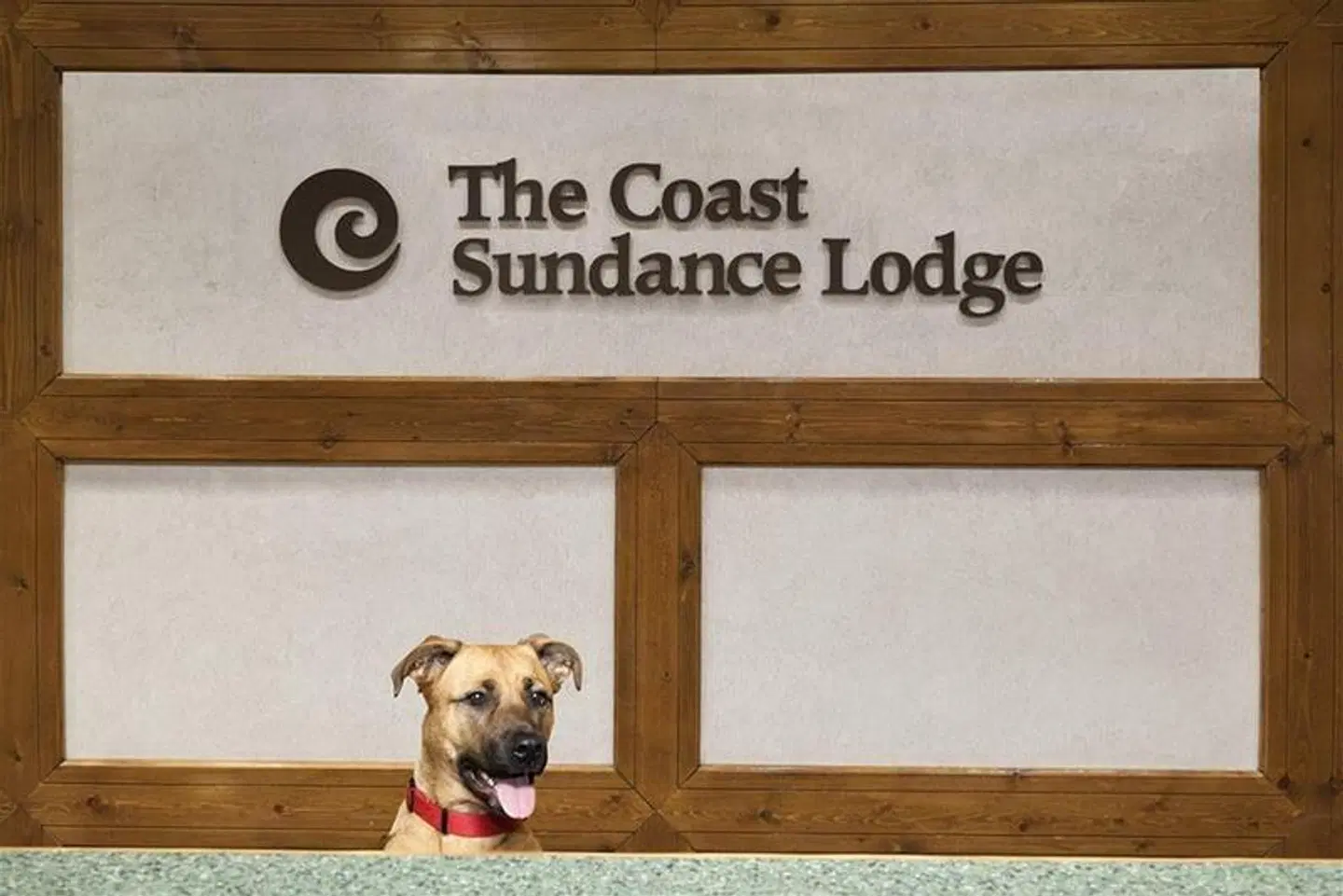 Sun Peaks Resort - Coast Sundance Lodge Tiere