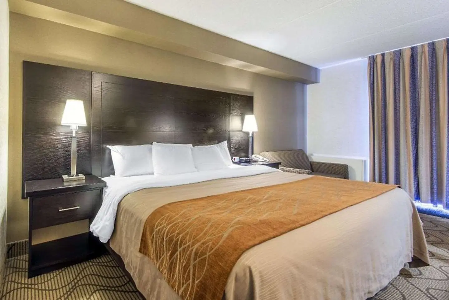 Comfort Inn North Bay ROOM_EXAMPLE