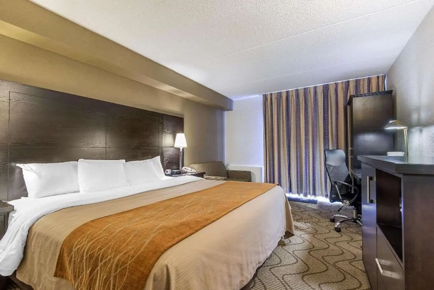 Comfort Inn North Bay ROOM_EXAMPLE