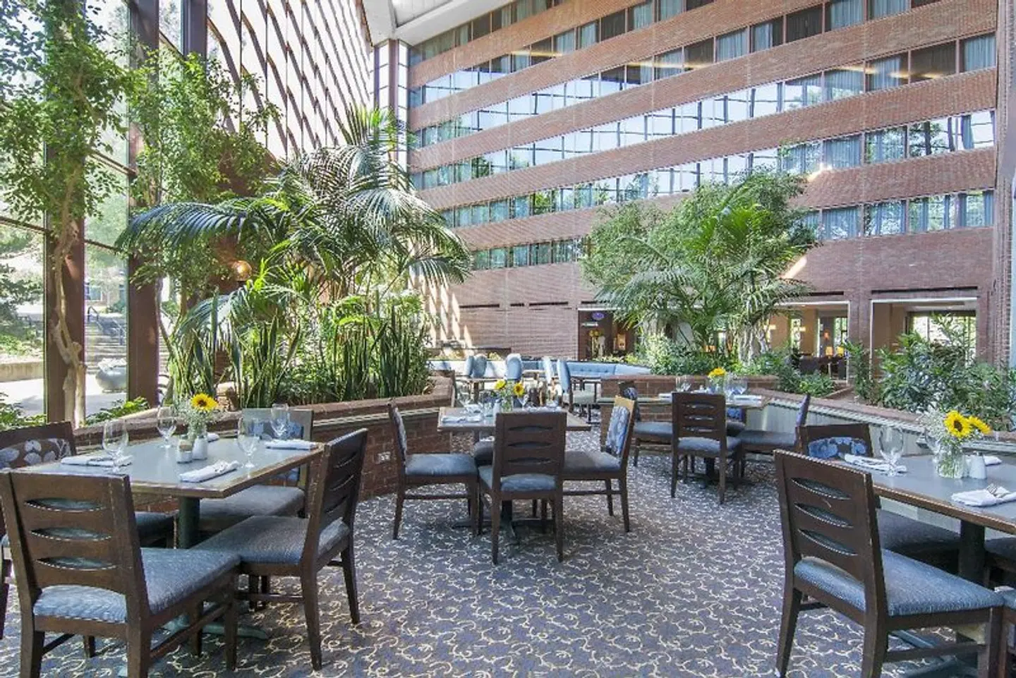 Omni Charlottesville Terrasse