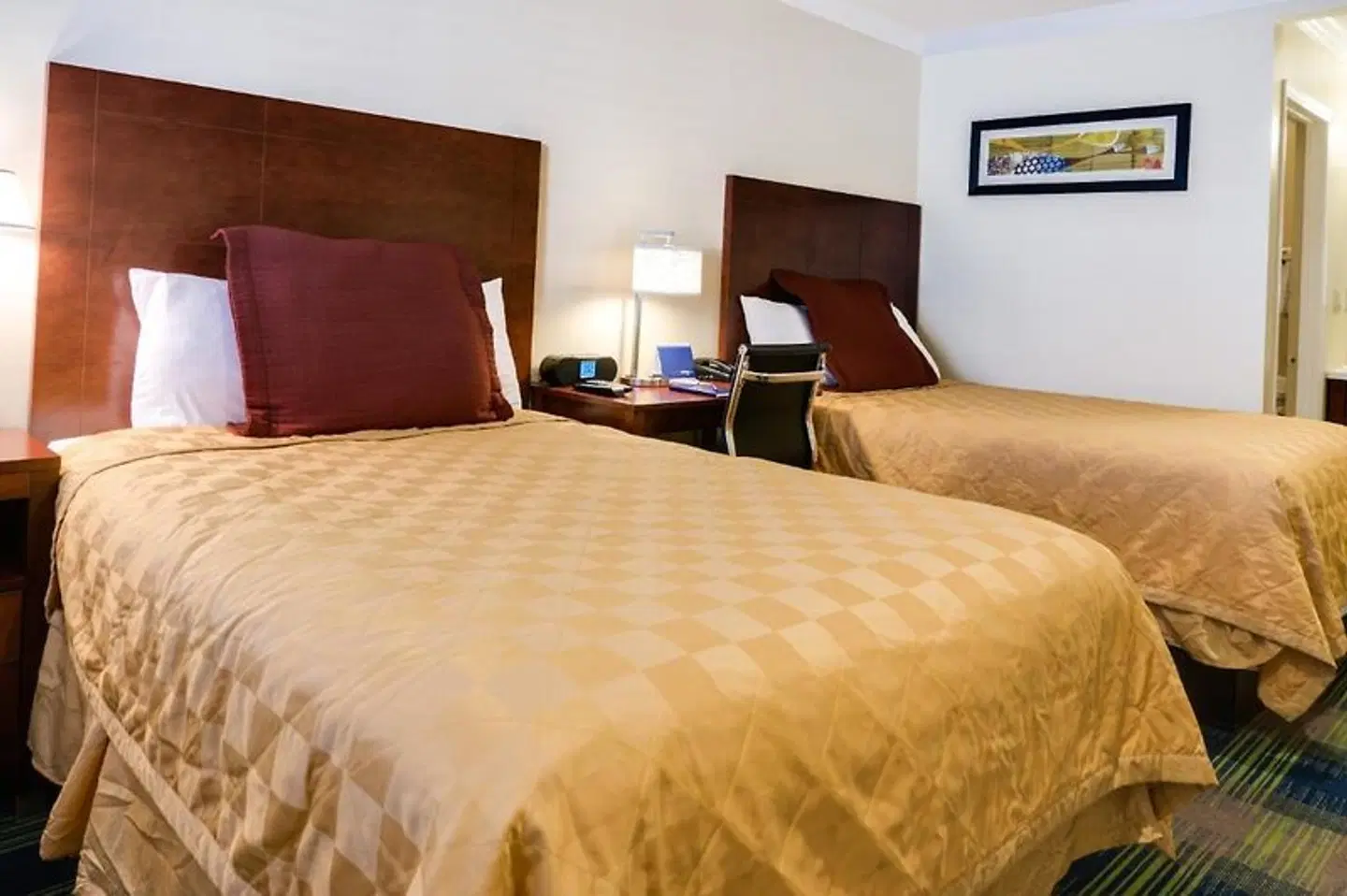 Travelodge by Wyndham by Fisherman's Wharf ROOM_EXAMPLE