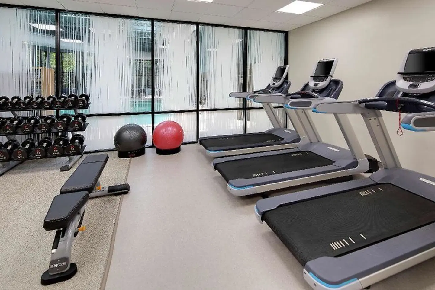 Embassy Suites by Hilton Atlanta Perimeter Center SPORTS_AND_LEISURE