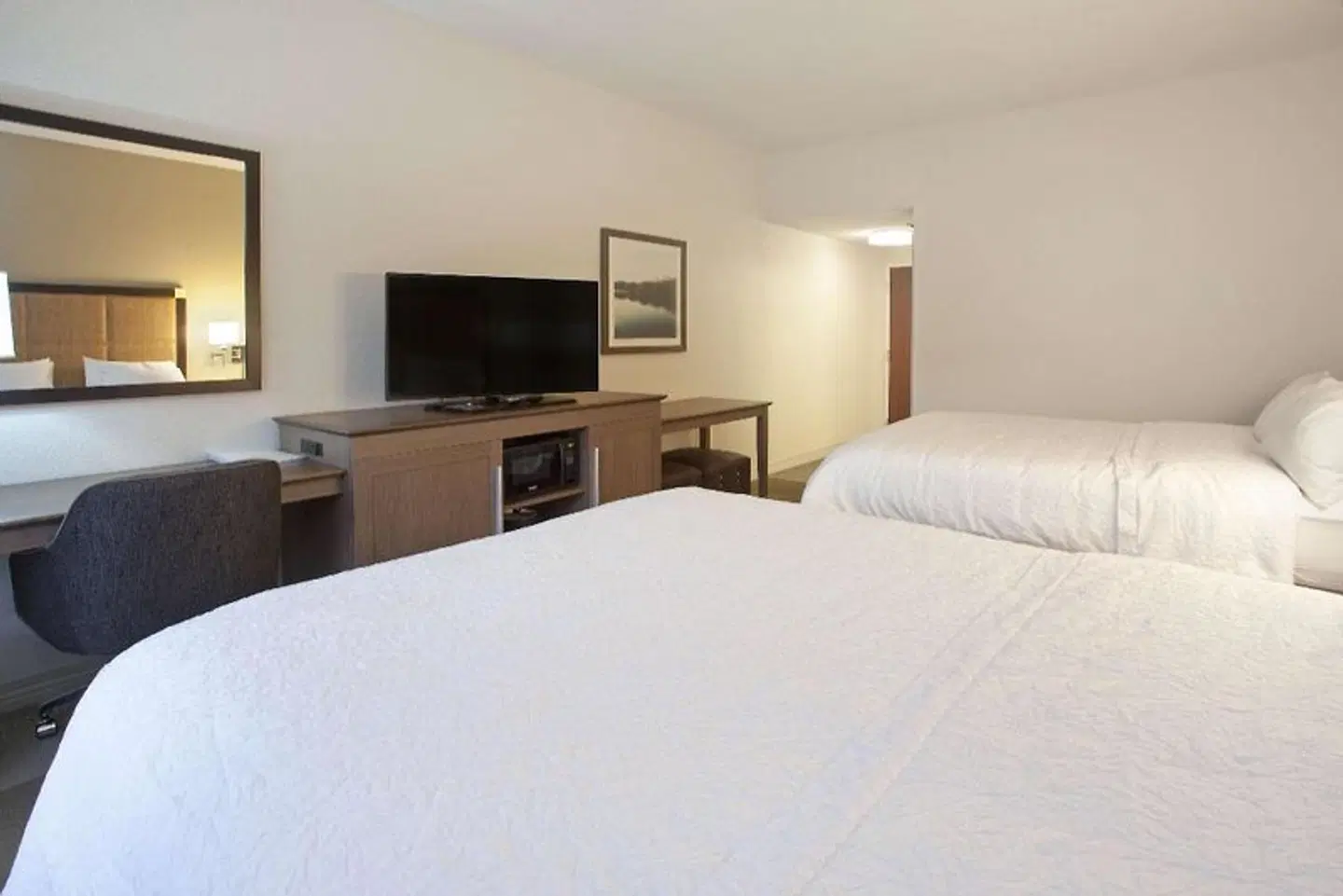 Hampton Inn & Suites Nashville Smyrna ROOM_EXAMPLE