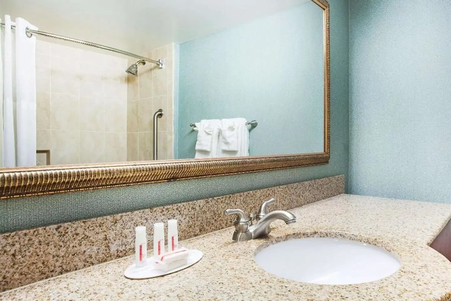 Ramada Jacksonville/Baymeadows Hotel & Conference Center Badezimmer