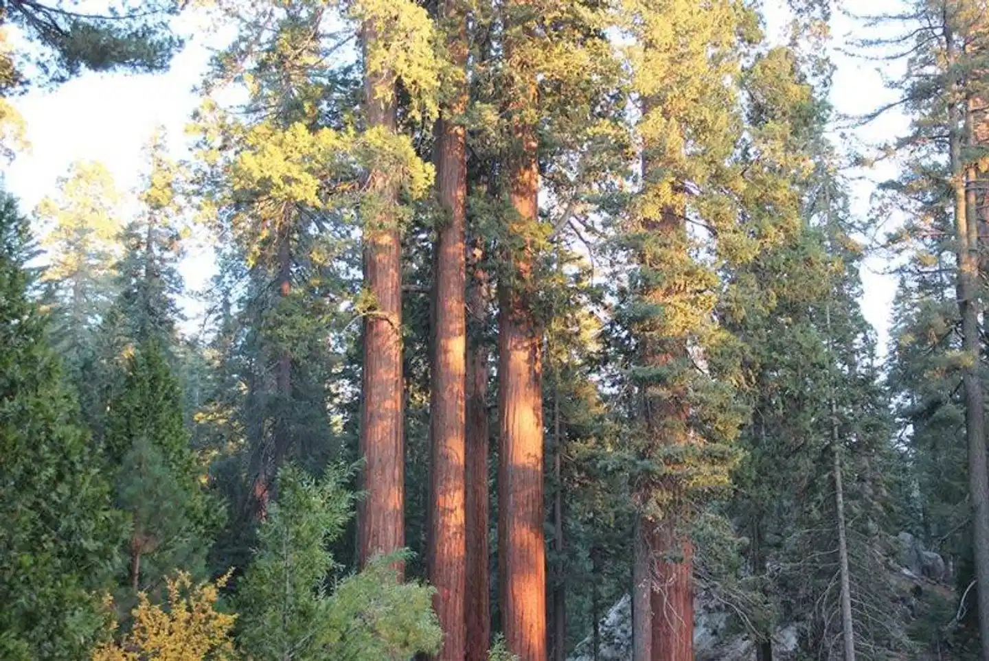 John Muir Lodge Landschaft