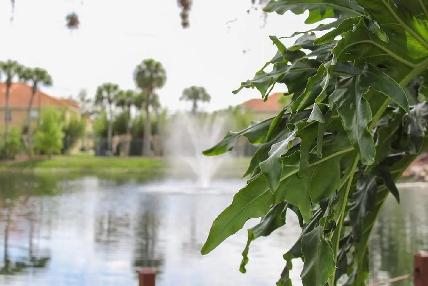 Polynesian Isles Resort by Diamond Resorts Garten