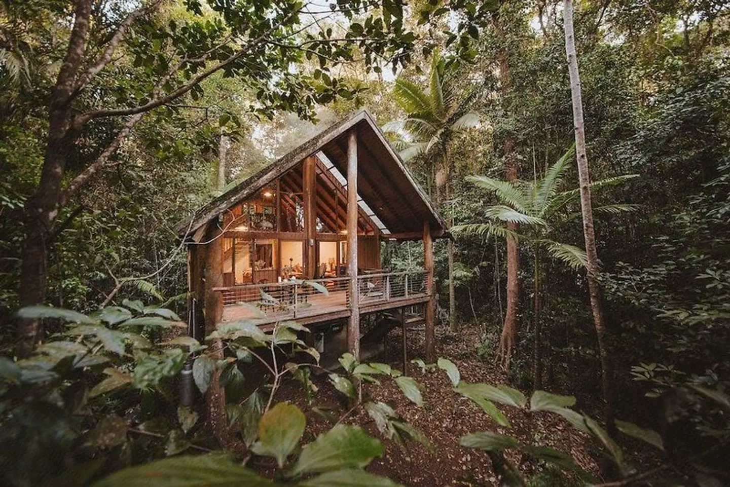 The Canopy Treehouses EXTERIOR