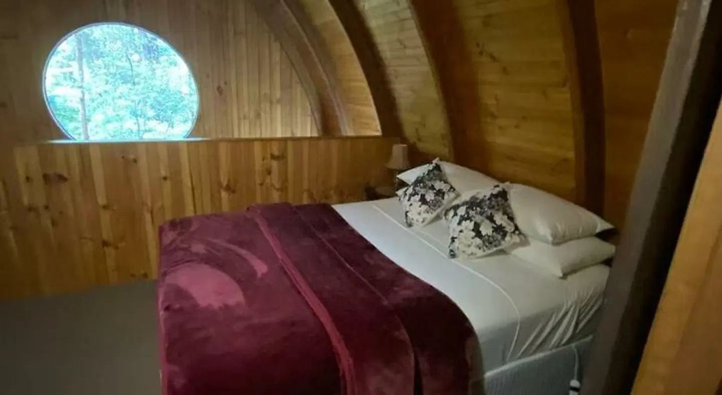Springbrook Mountain Chalets ROOM_EXAMPLE