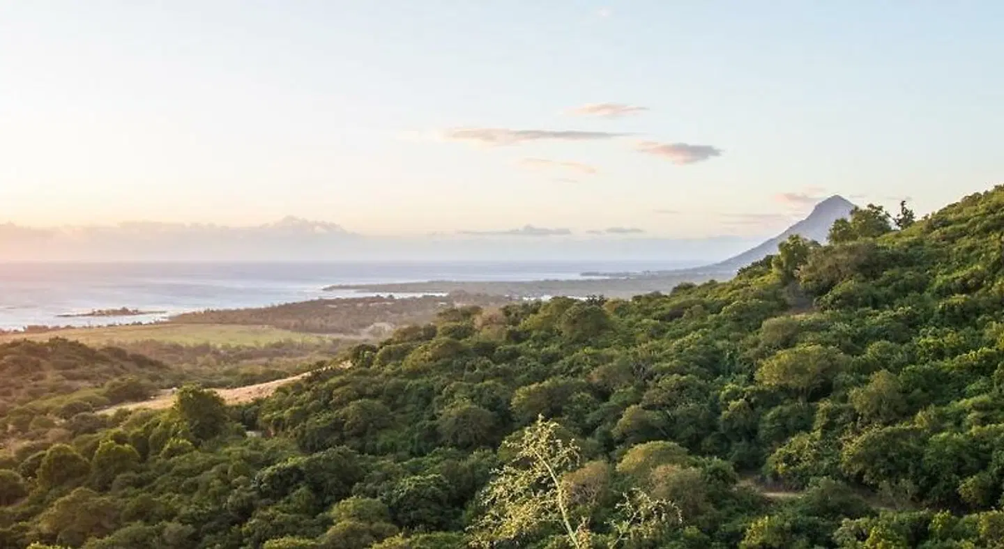 Résidence Les Alizés LANDSCAPE