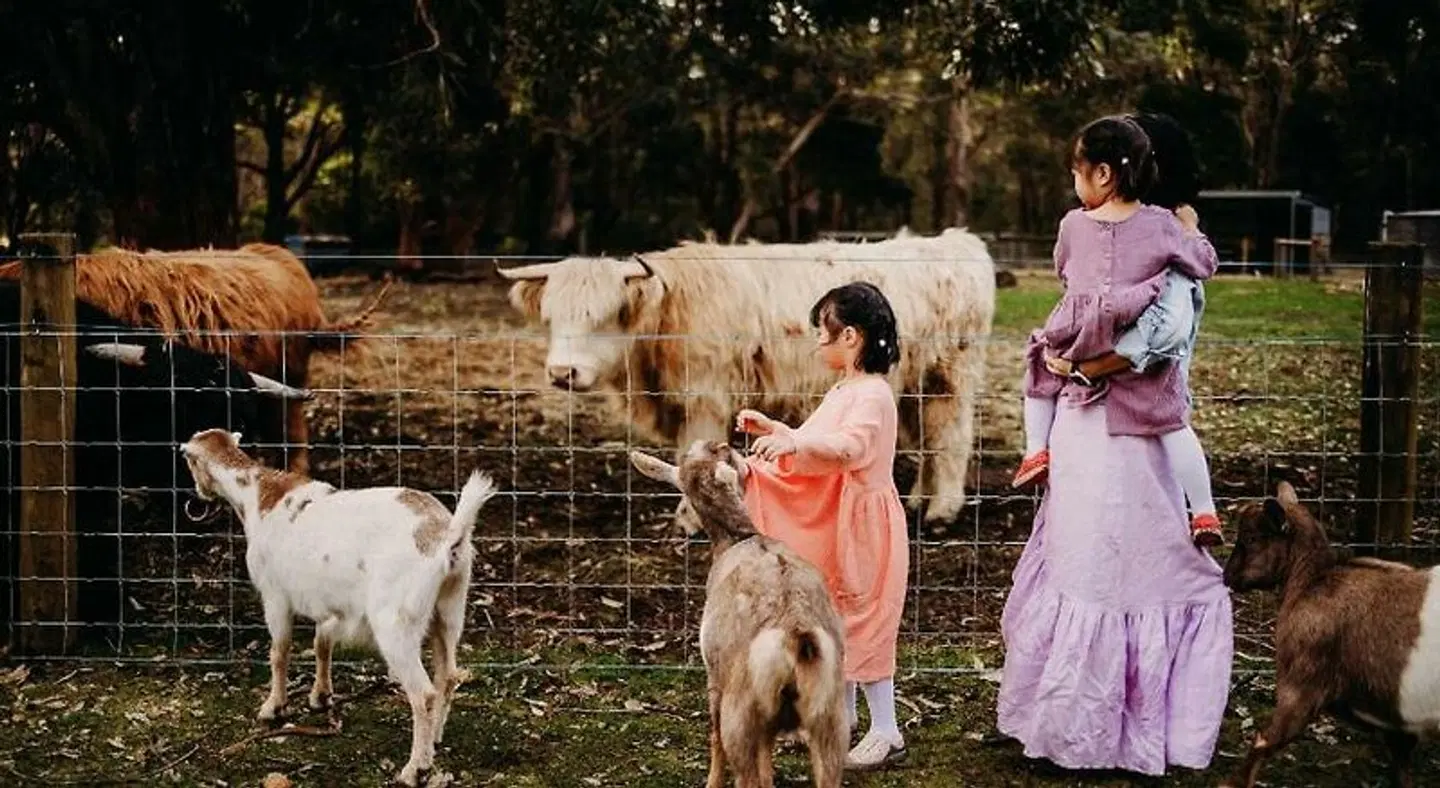Margaret River Holiday Cottages Tiere