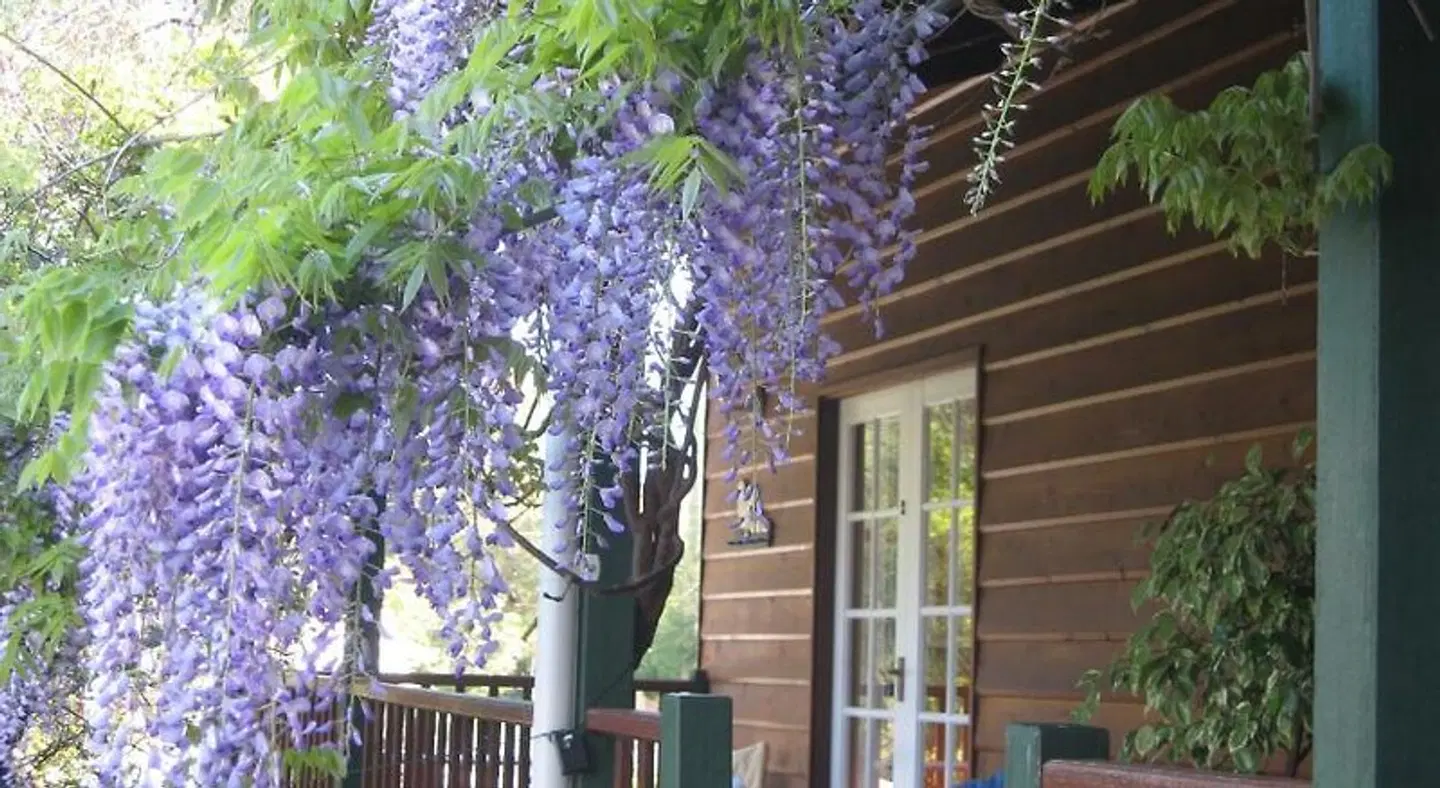 RoseMoore Bed & Breakfast EXTERIOR