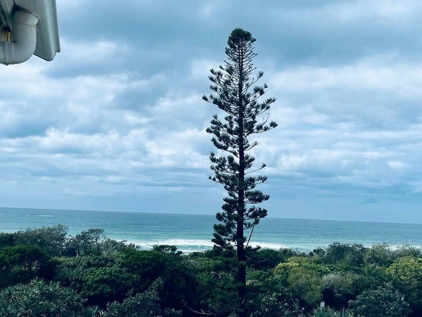 Horizons At Peregian LANDSCAPE