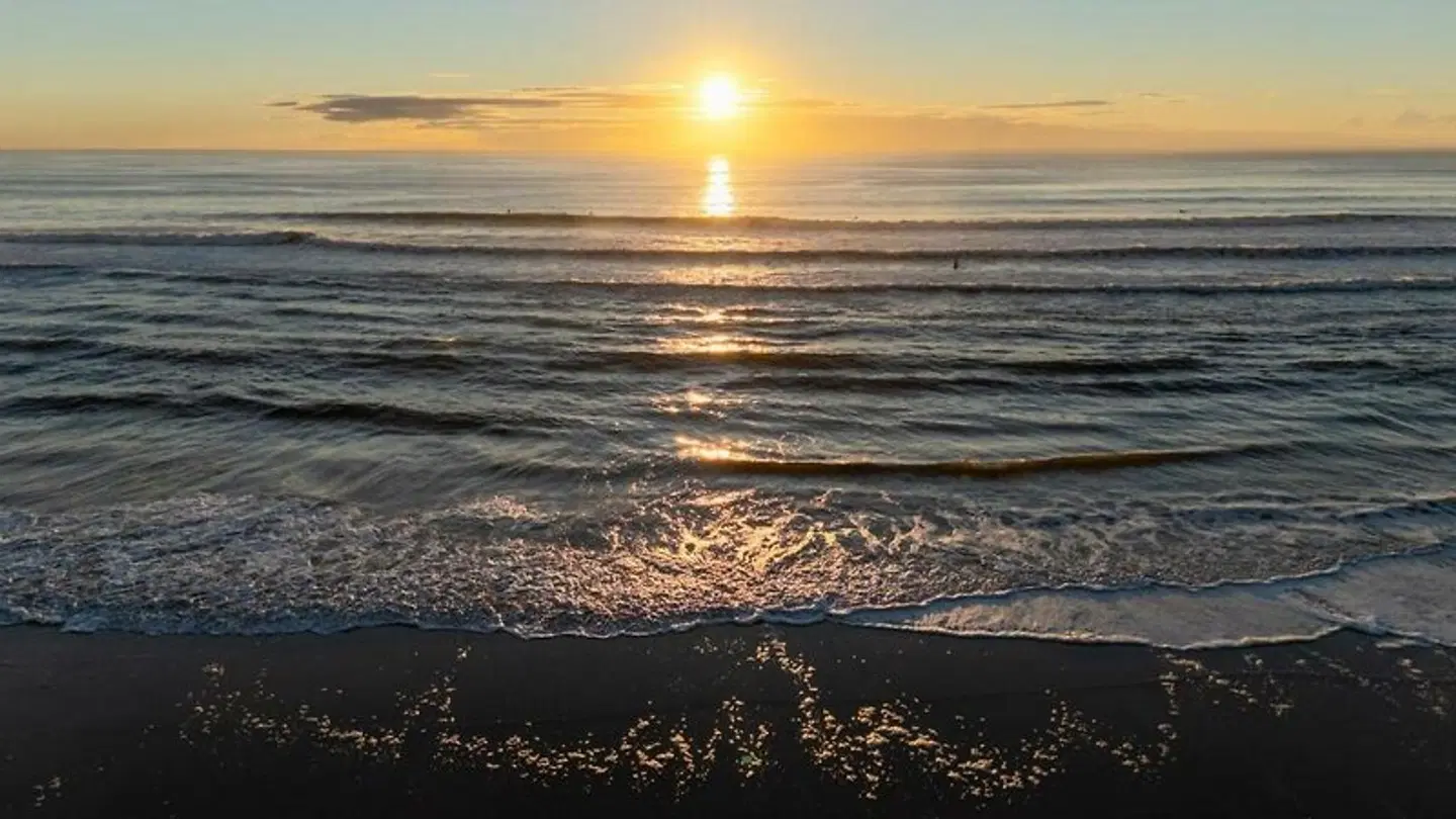 Swell Resort LANDSCAPE