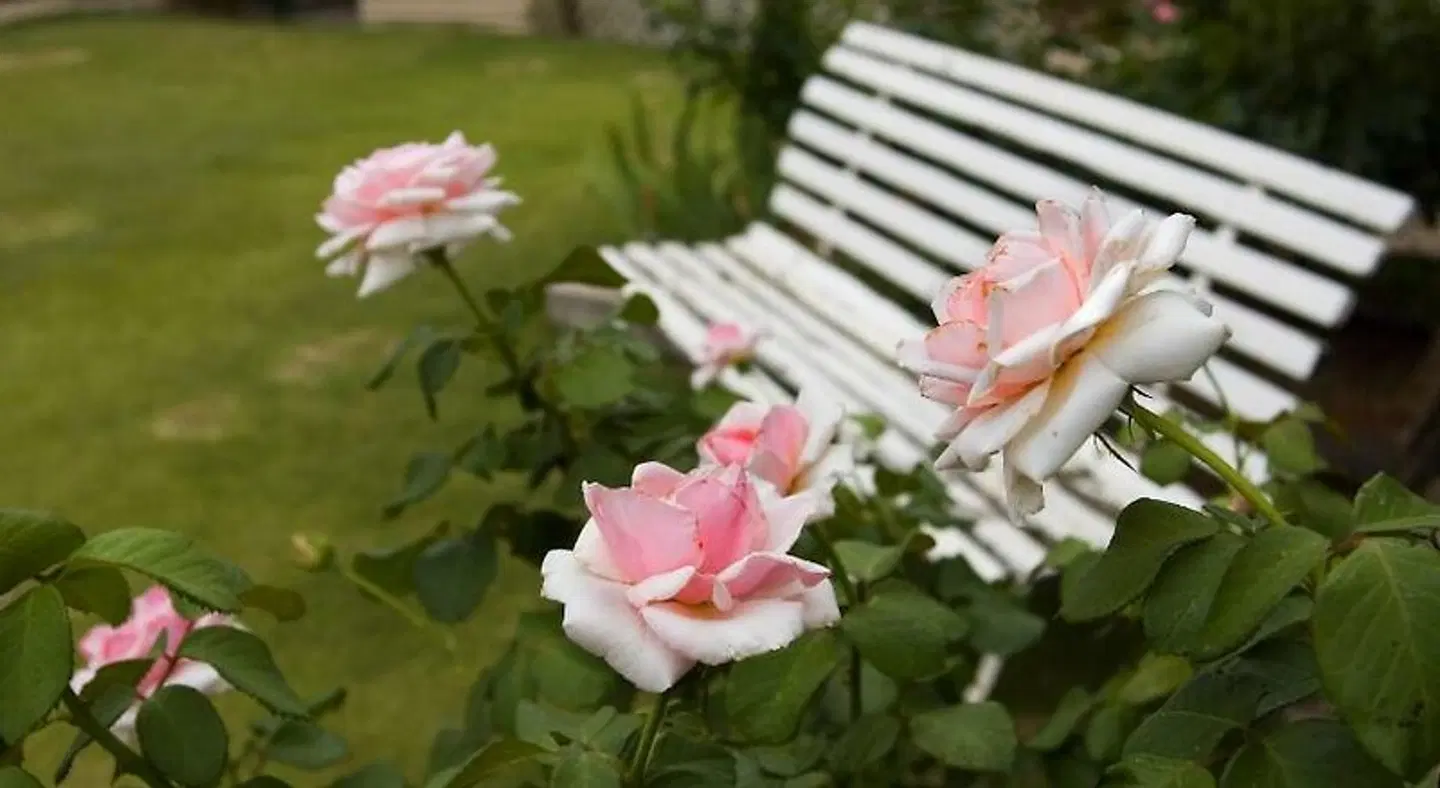 Imperial Fine Accommodation Garten