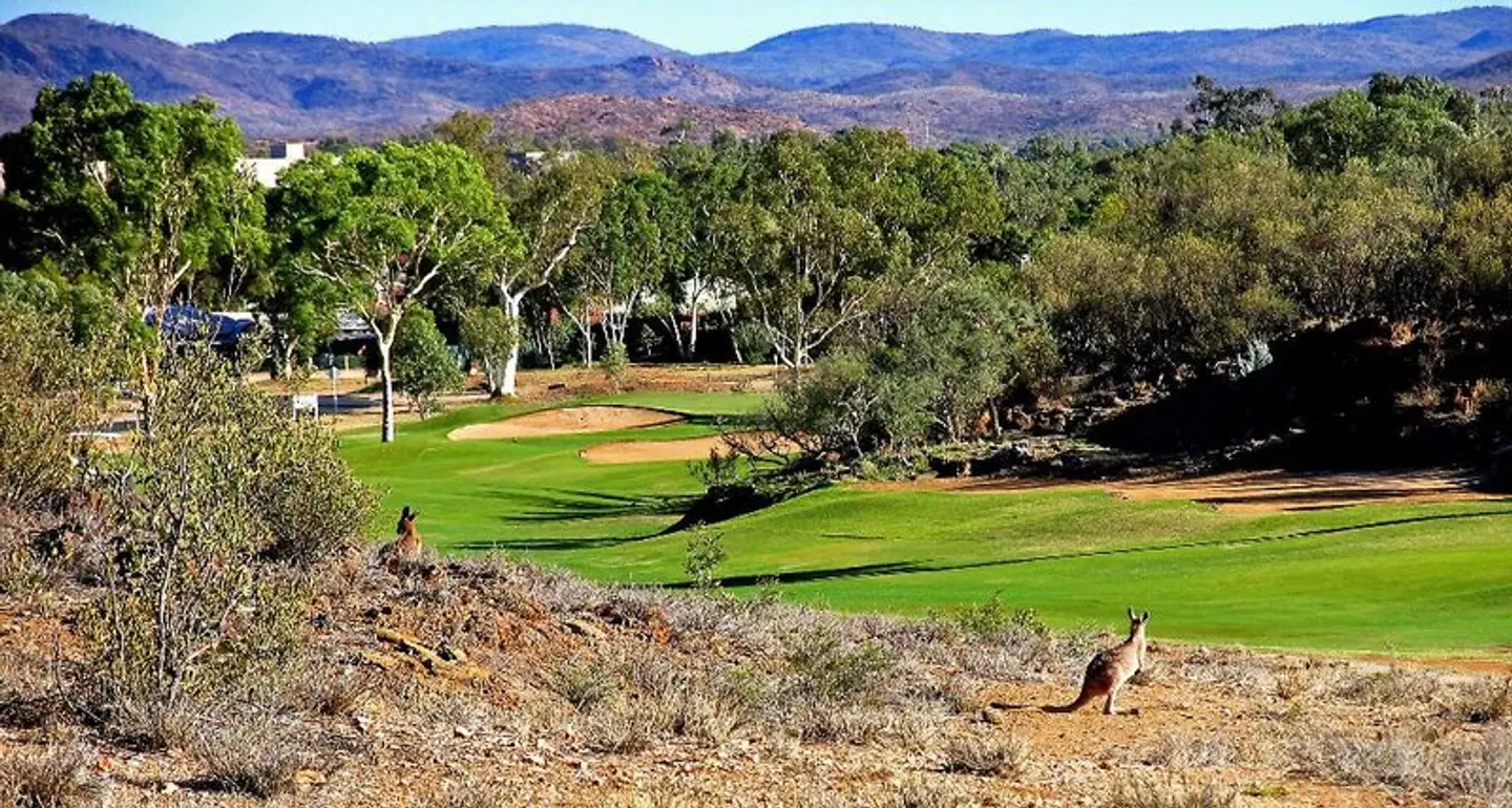 Desert Palms Alice Springs LANDSCAPE