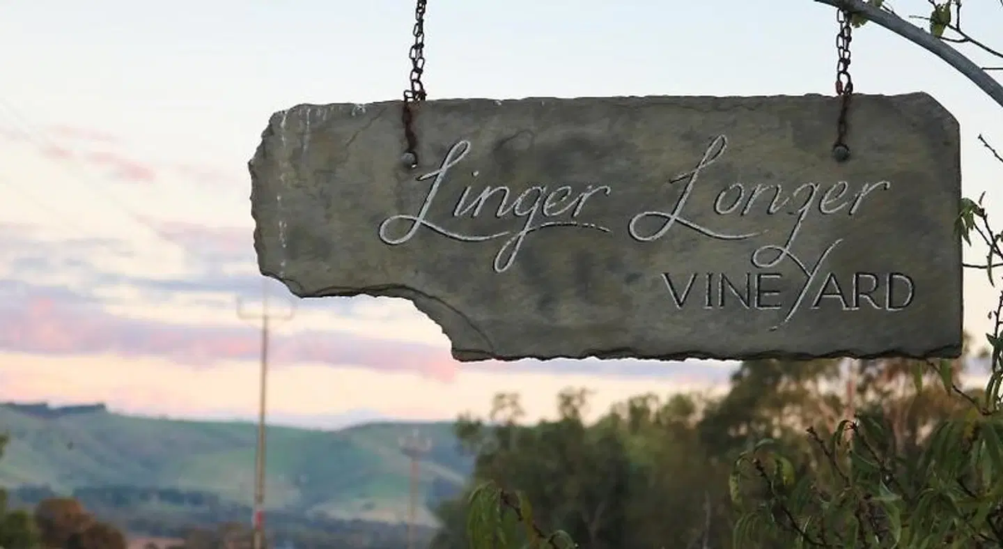 Linger Longer Vineyard LANDSCAPE