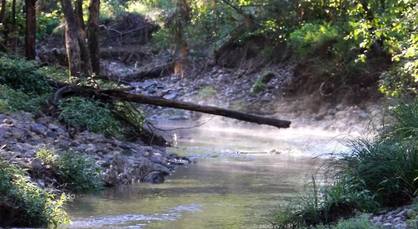 Yabbaloumba Retreat LANDSCAPE