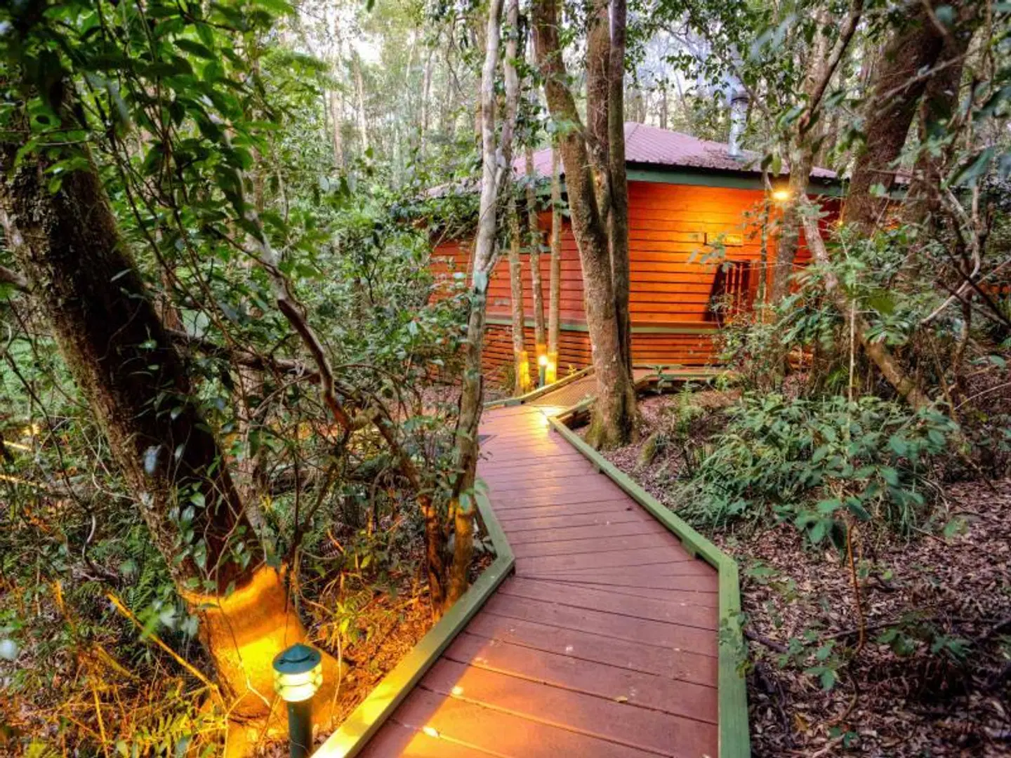 The Mouses House Rainforest Retreat Garten