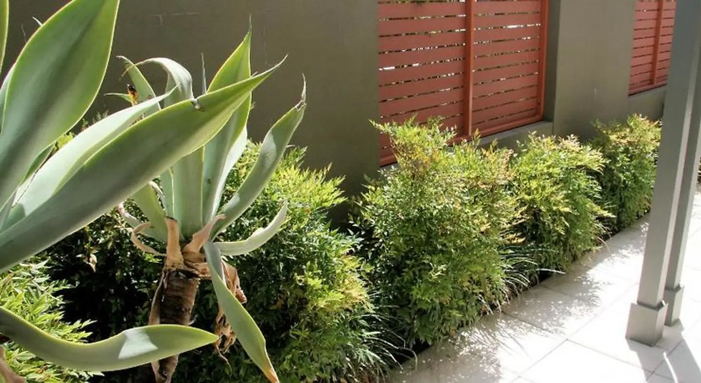 Chaucer Palms Boutique Bed & Breakfast Garten