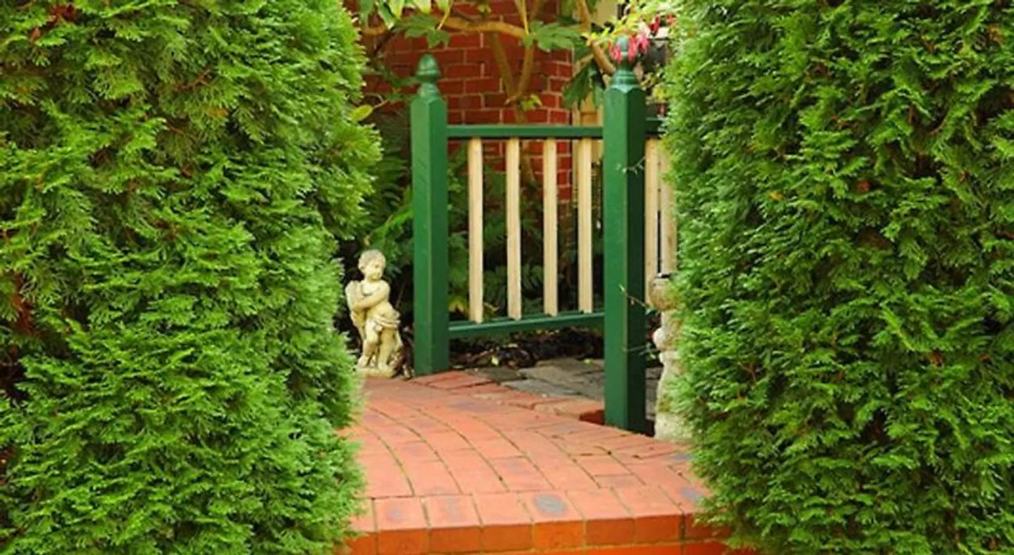 Mary Cards Coach House Garten