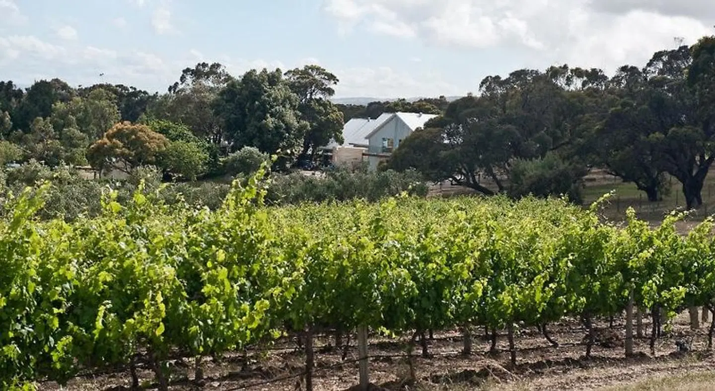 The Farm Willunga LANDSCAPE