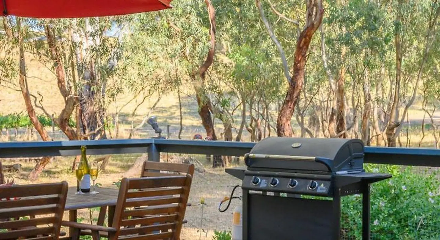 Friends at McLaren Vale LANDSCAPE
