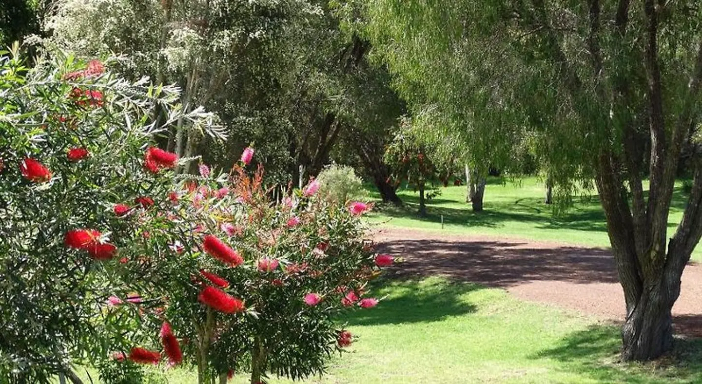 Pinda Lodge Garten