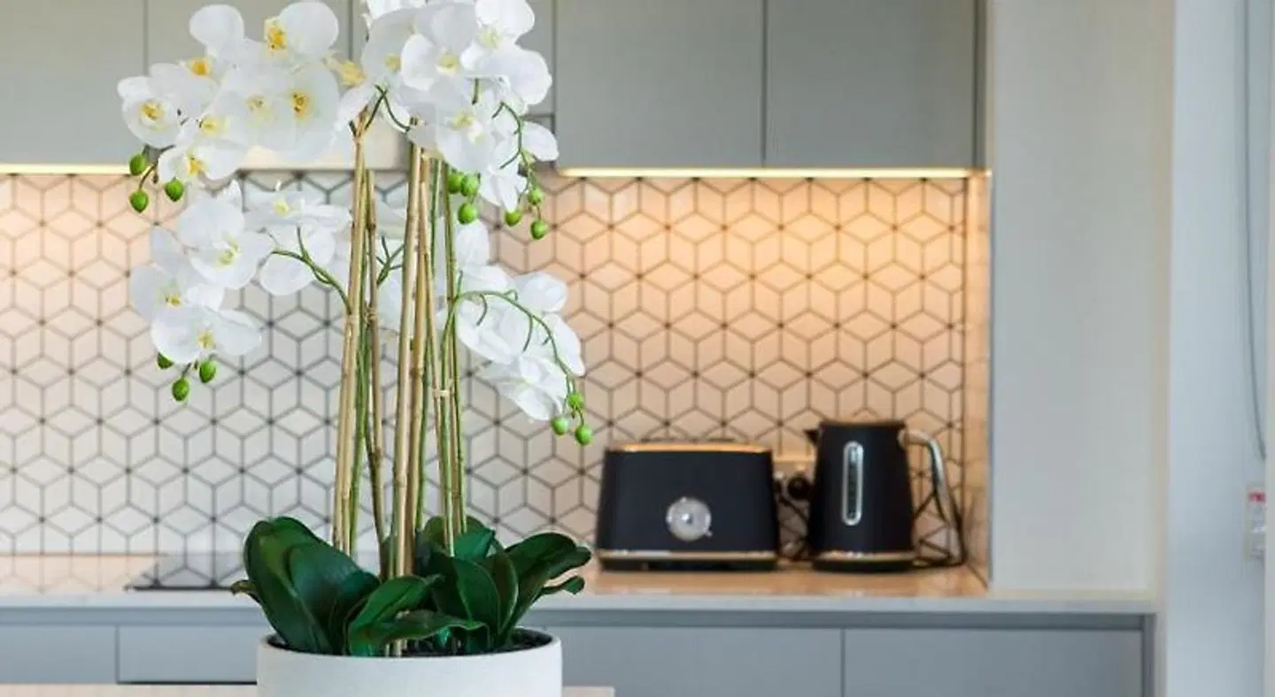 Inspire Boutique Apartments ROOM_EXAMPLE