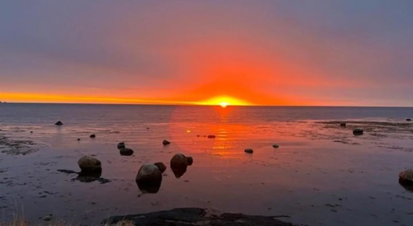Wildflowers Country Inn LANDSCAPE