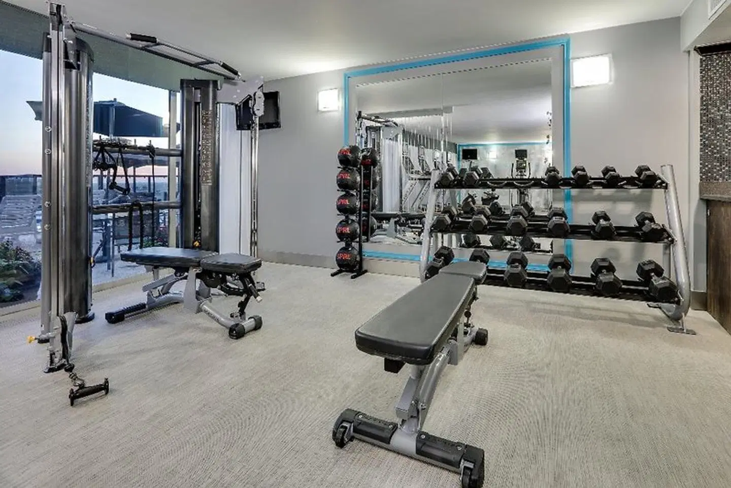 Crowne Plaza Hotel Dallas Downtown by IHG SPORTS_AND_LEISURE