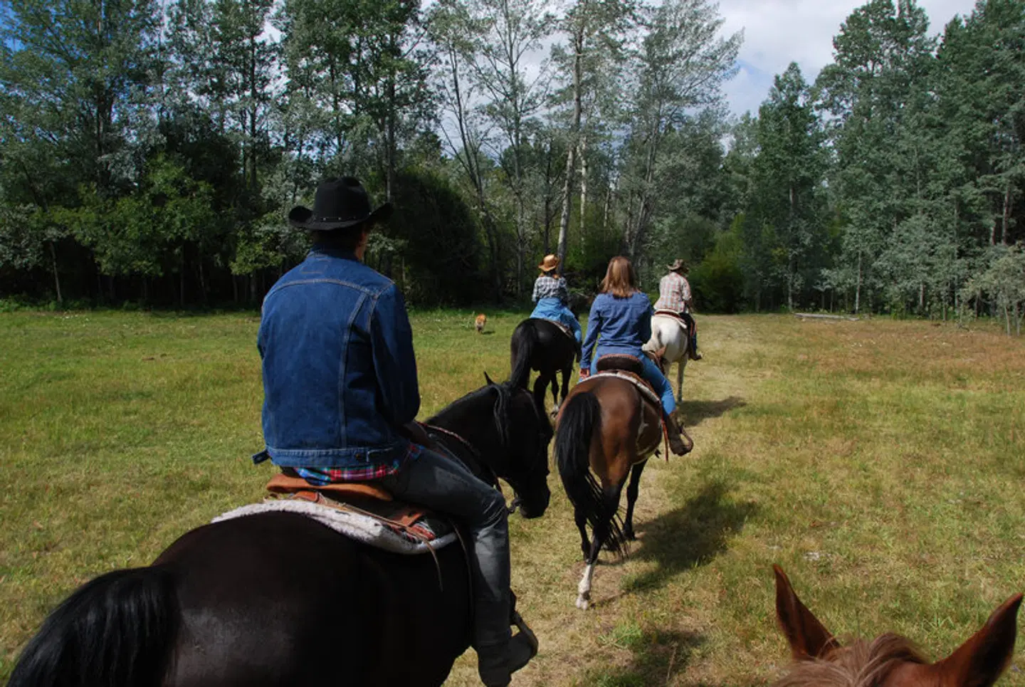 Terra Nostra Guest Ranch SPORTS_AND_LEISURE