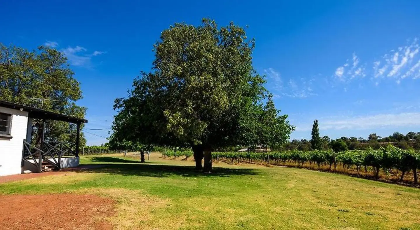 Vineyard Cottage at Upper Reach Winery LANDSCAPE