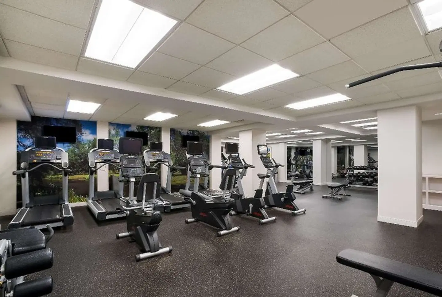 Royal Sonesta Hotel New Orleans SPORTS_AND_LEISURE