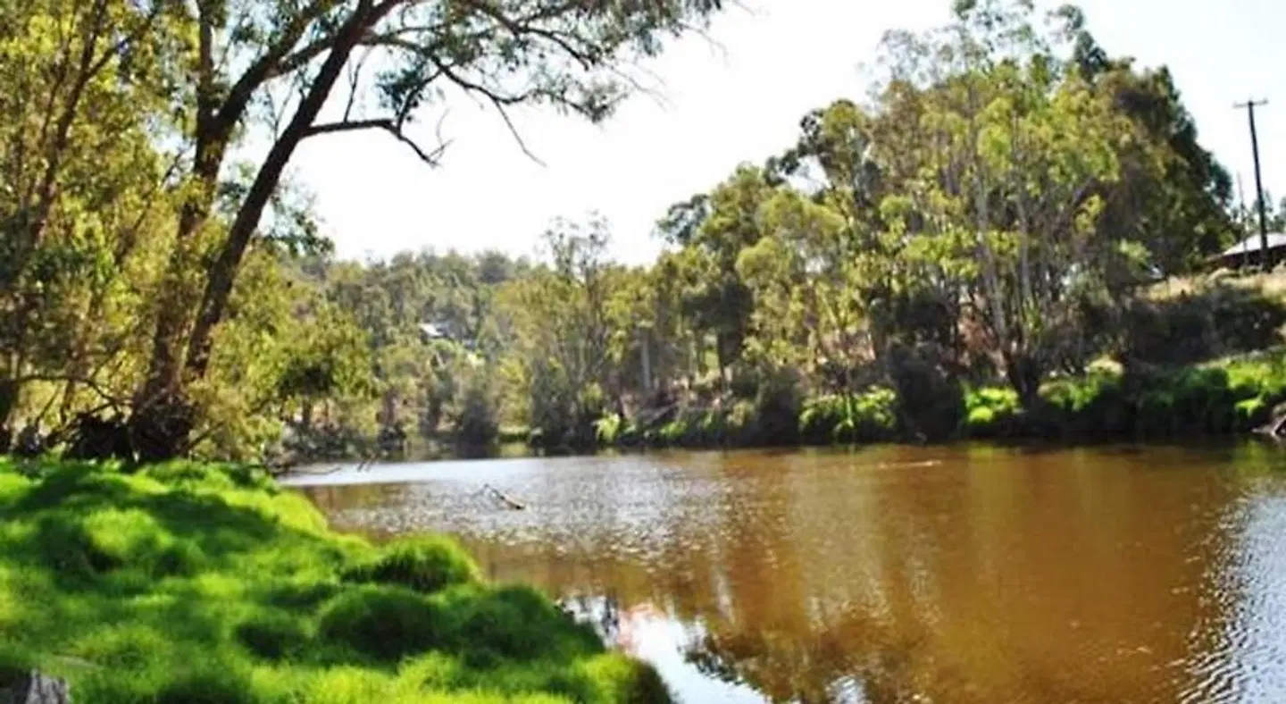 Tweed Valley Lodge Garten