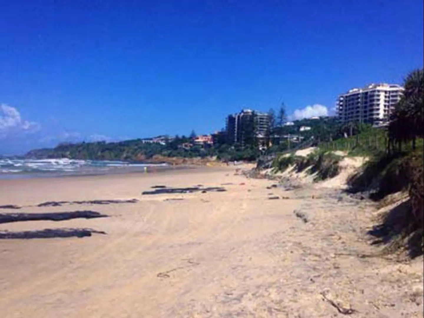 Pandanus Coolum Beach Strand