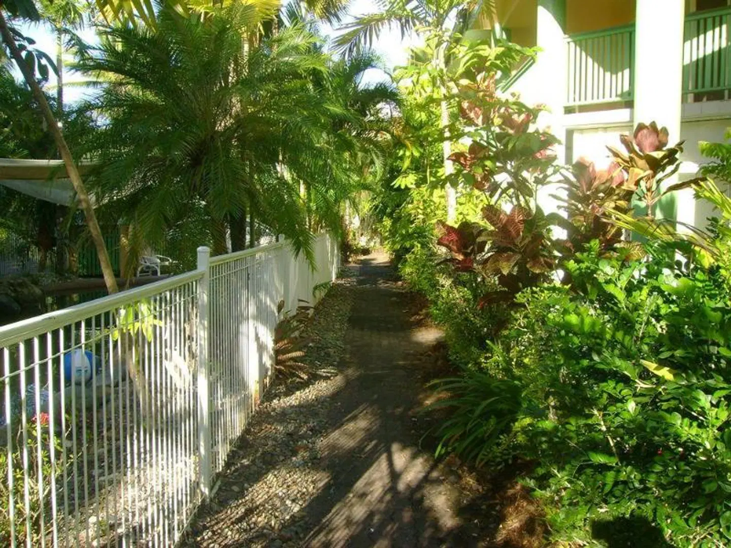 A Tropical Nite Garten