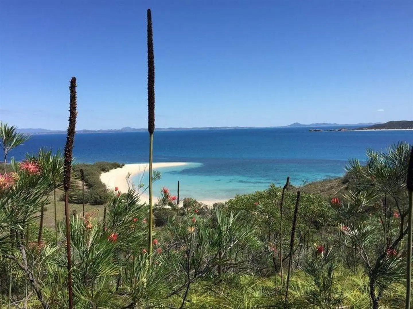 Coral Inn Yeppoon LANDSCAPE