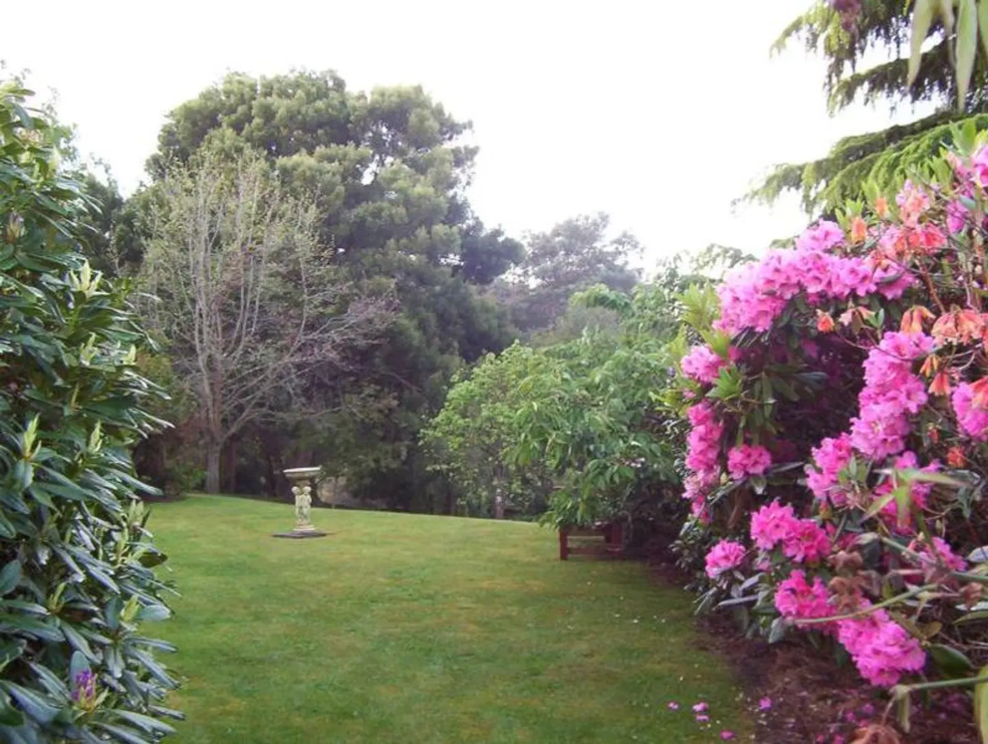 Donalea Bed and Breakfast & Riverview Apartment Garten
