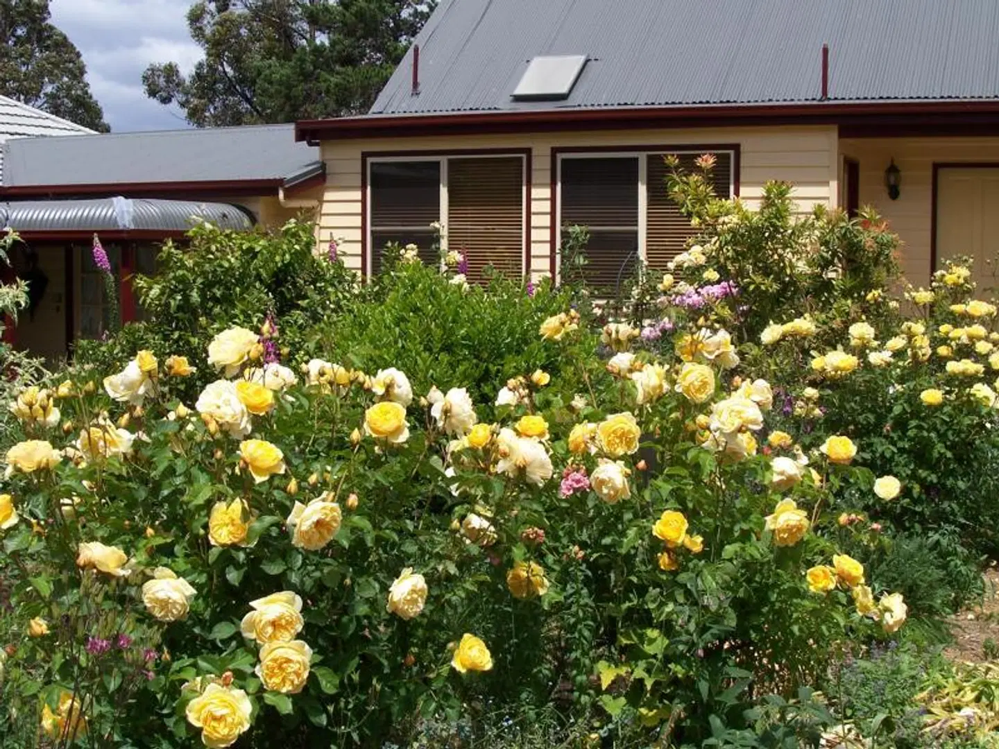 Donalea Bed and Breakfast & Riverview Apartment Garten