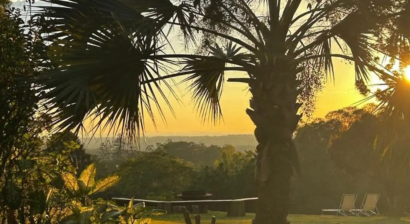 Noosa Hinterland Bed & Breakfast LANDSCAPE