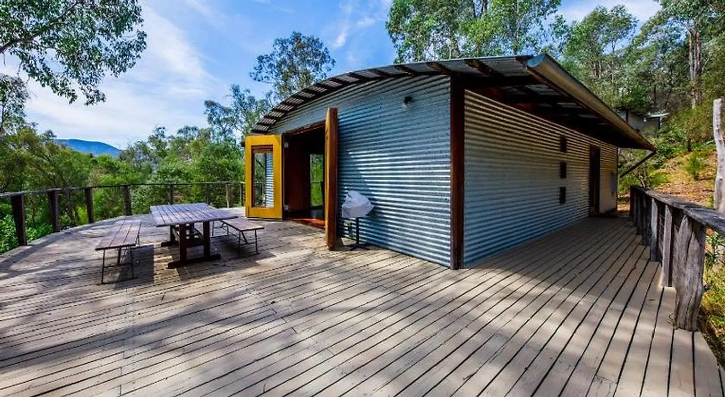 The Odd Frog HEALTH_BEAUTY