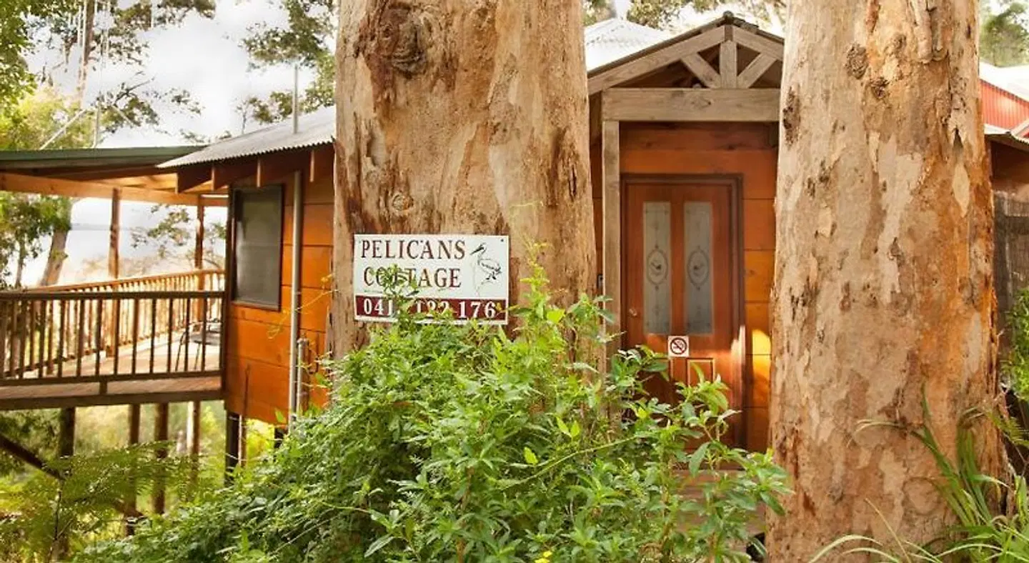 Pelicans at Denmark EXTERIOR