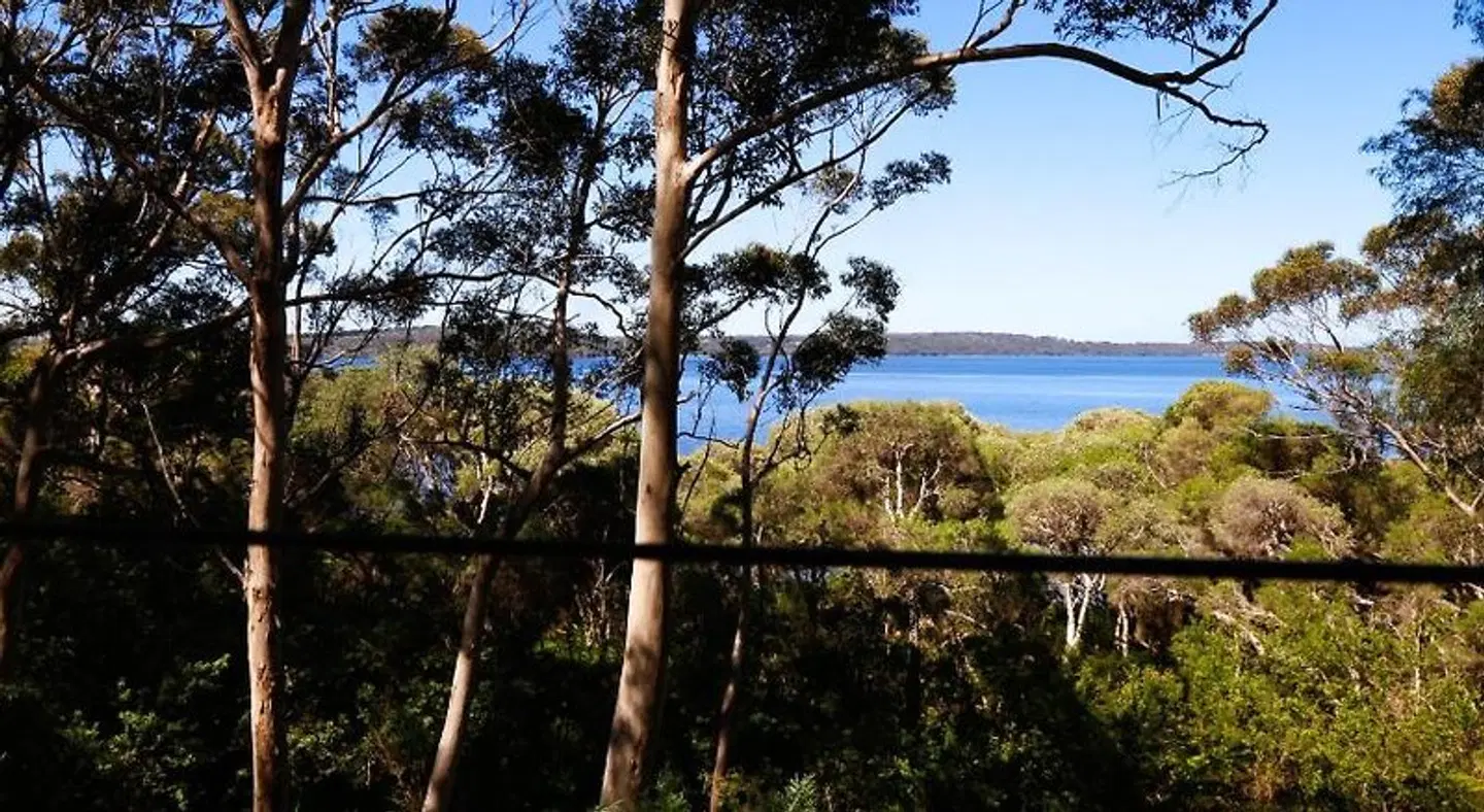Pelicans at Denmark LANDSCAPE