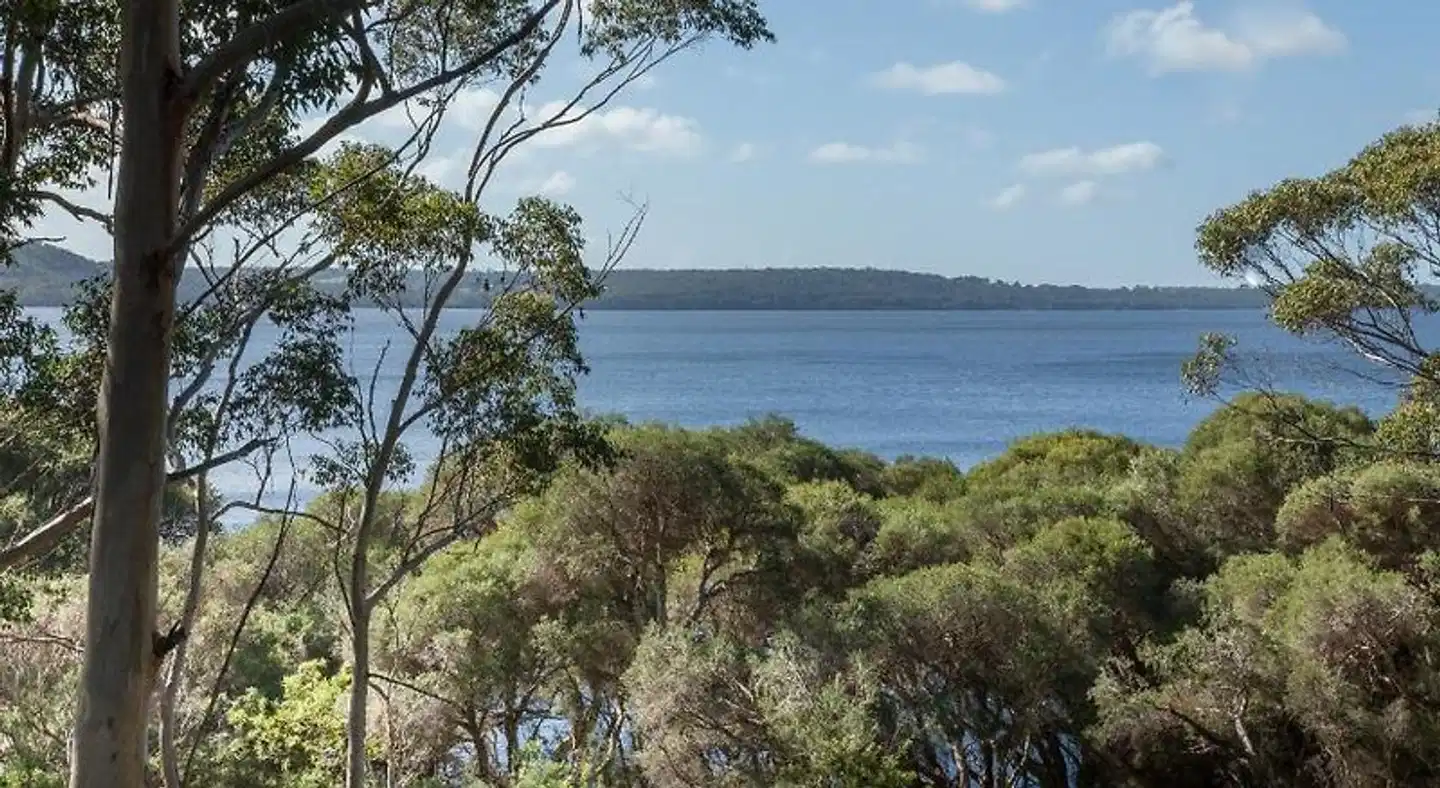 Pelicans at Denmark Landschaft