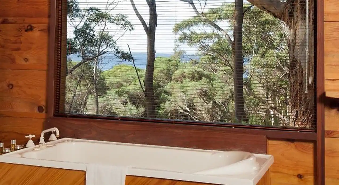 Pelicans at Denmark Terrasse