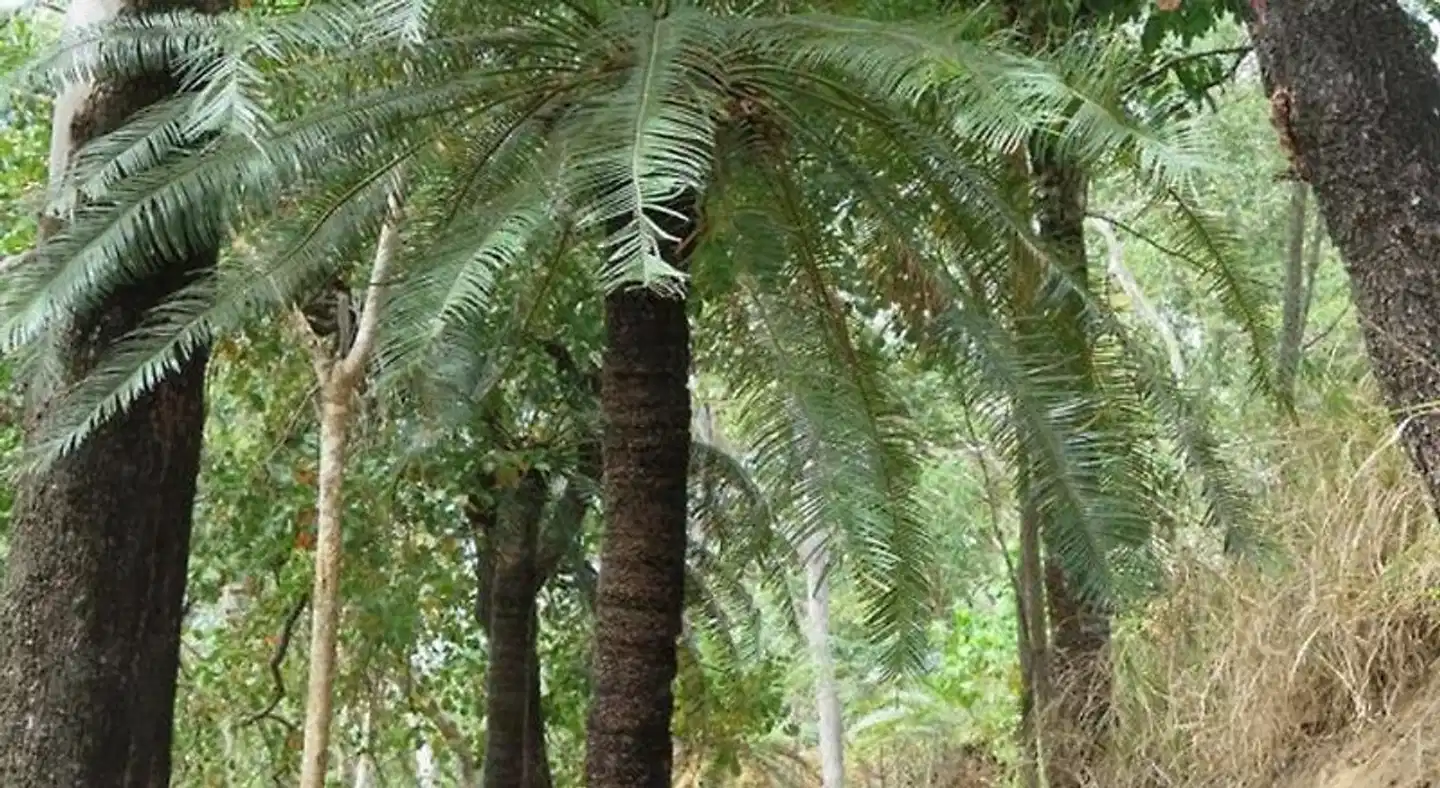 Bellbry Lodge Landschaft