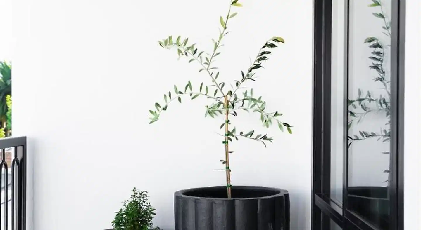 St Hugh Hotel Wagga Wagga Landkarte